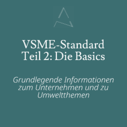 Praxisnahes Nachhaltigkeitsreporting, VSME-Standard