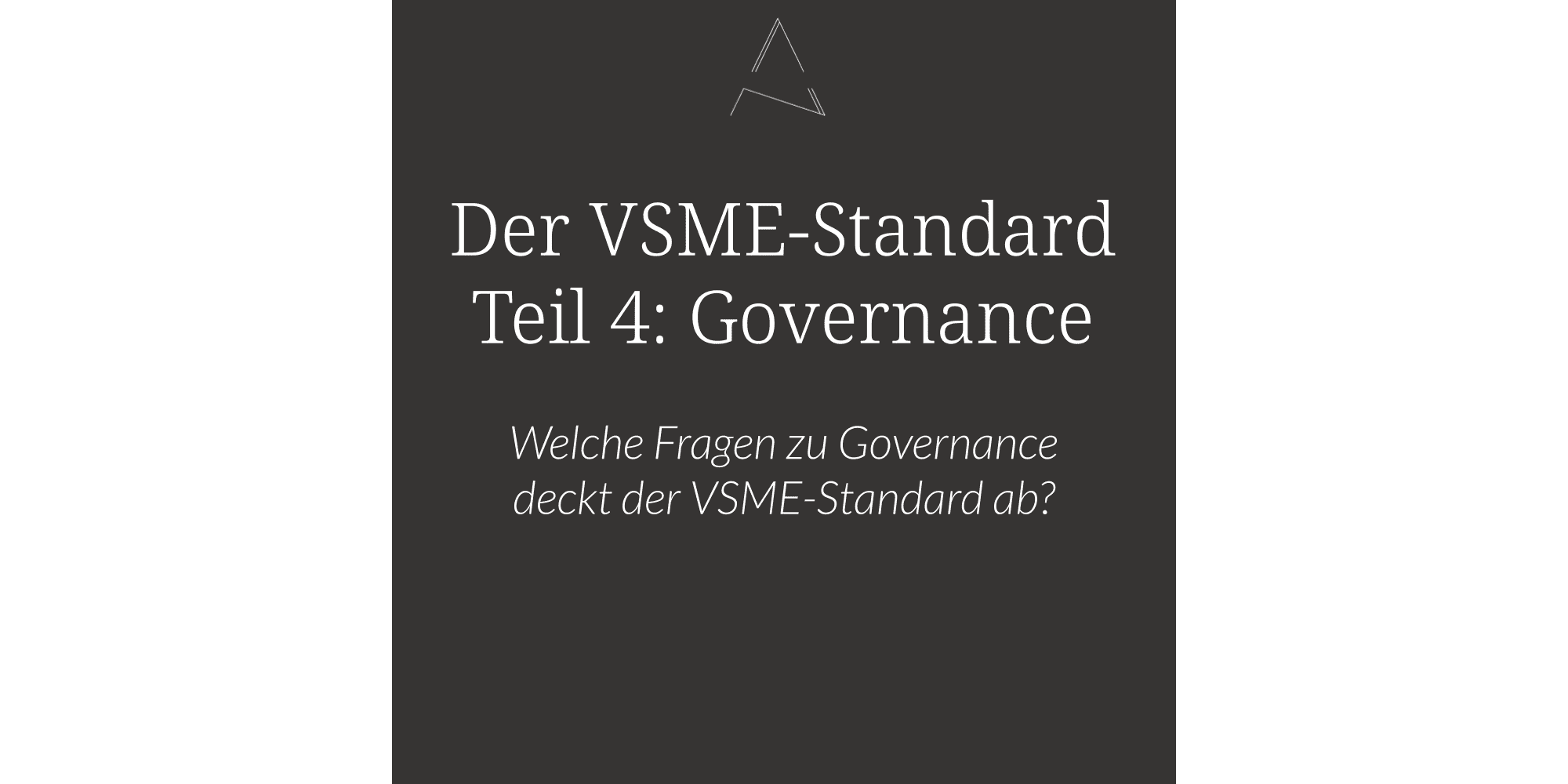 VSME-Standard, Governance, Corporate Governance
