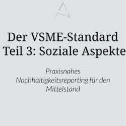 Soziale Aspekte, Sozialstandard, Soziale Nachhaltigkeit