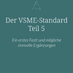VSME-Standard, Nachhaltigkeitsstrategie, Wesentlichkeitsanalyse, Stakeholder-Management, Risiko- und Chancenmanagement, ESG-Reporting