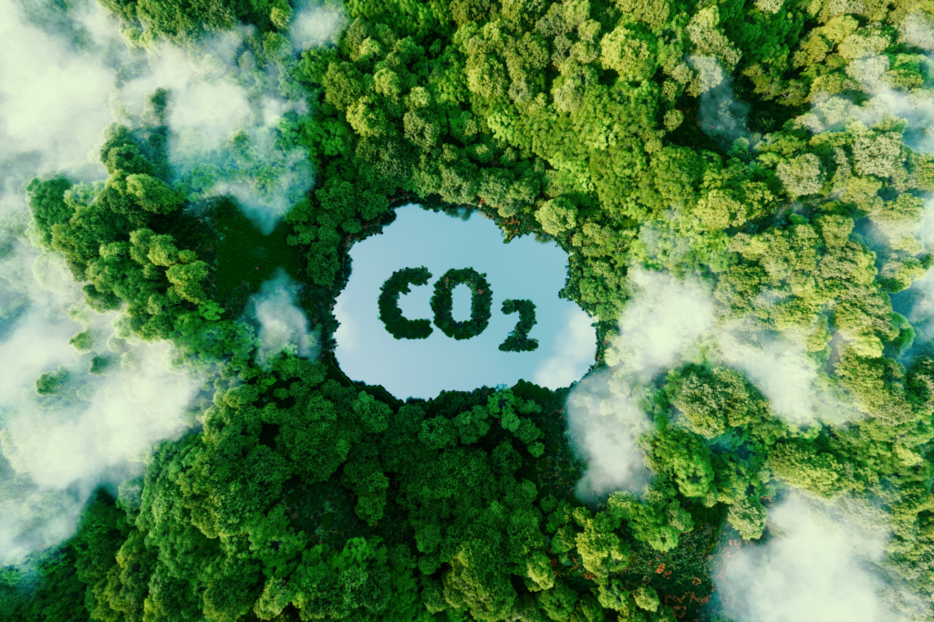 Carbon Accounting für den Mittelstand