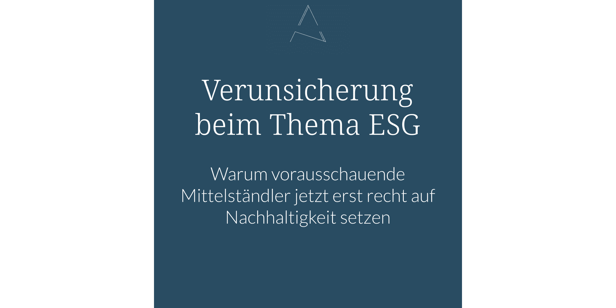 Esg,Unternehmen Nachhaltigkeitsstrategie, Mittelstand