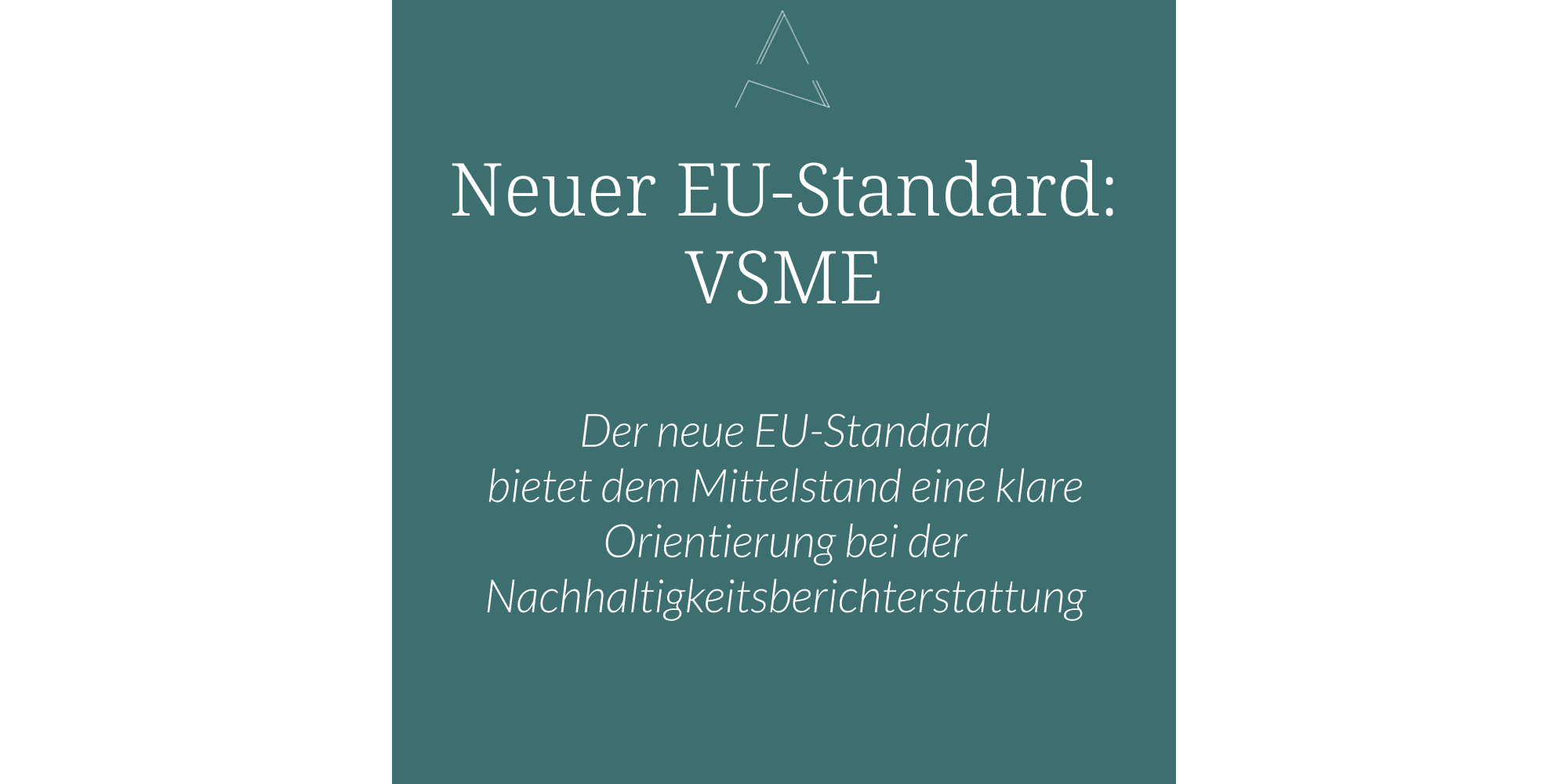 Nachhaltigkeitsbericht erstellen, VSME-Standard EU, EU Nachhaltigkeitsstandard