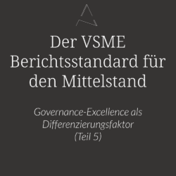 VSME Governance, Governance-Excellence im VSME, Comprehensive Module, Integration in die Nachhaltigkeitsstrategie, Governance als Fundament