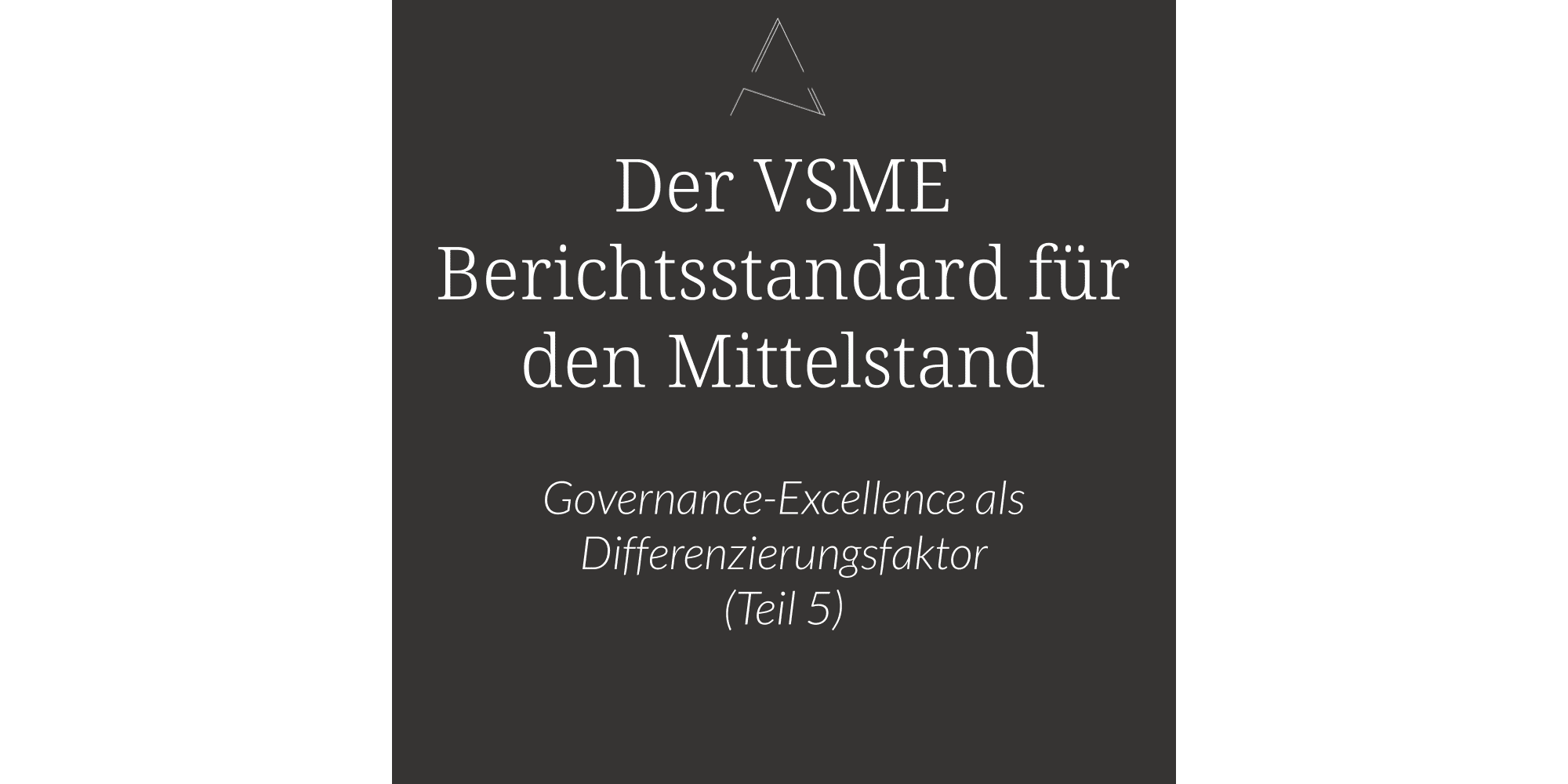 VSME Governance, Governance-Excellence im VSME, Comprehensive Module, Integration in die Nachhaltigkeitsstrategie, Governance als Fundament