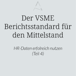 Comprehensive Modul, VSME-Standard Special, Die strategische Erweiterung der HR-Daten mit dem Comprehensive Module, Von HR Routine zu strategischer Positionierung.