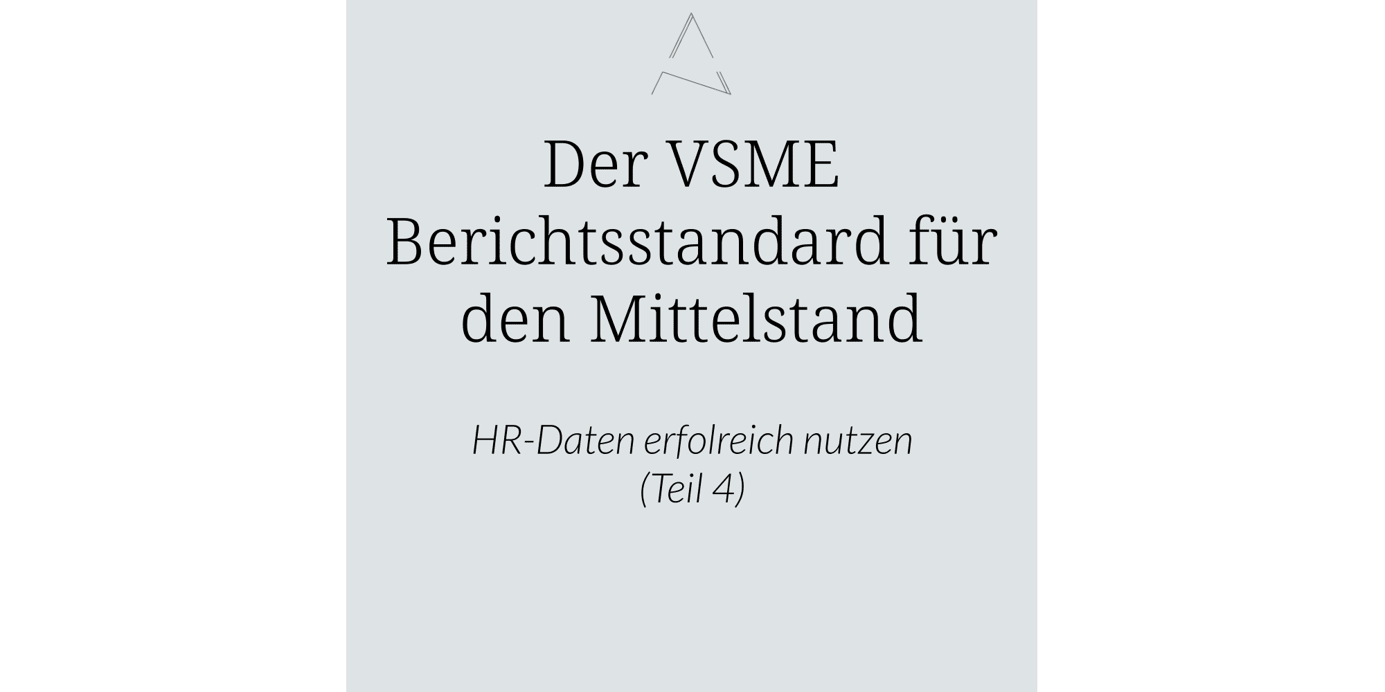 Comprehensive Modul, VSME-Standard Special, Die strategische Erweiterung der HR-Daten mit dem Comprehensive Module, Von HR Routine zu strategischer Positionierung.