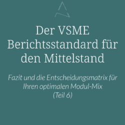 VSME Module, VSME Beratung Mittelstand, VSME Entscheidungsmatrix