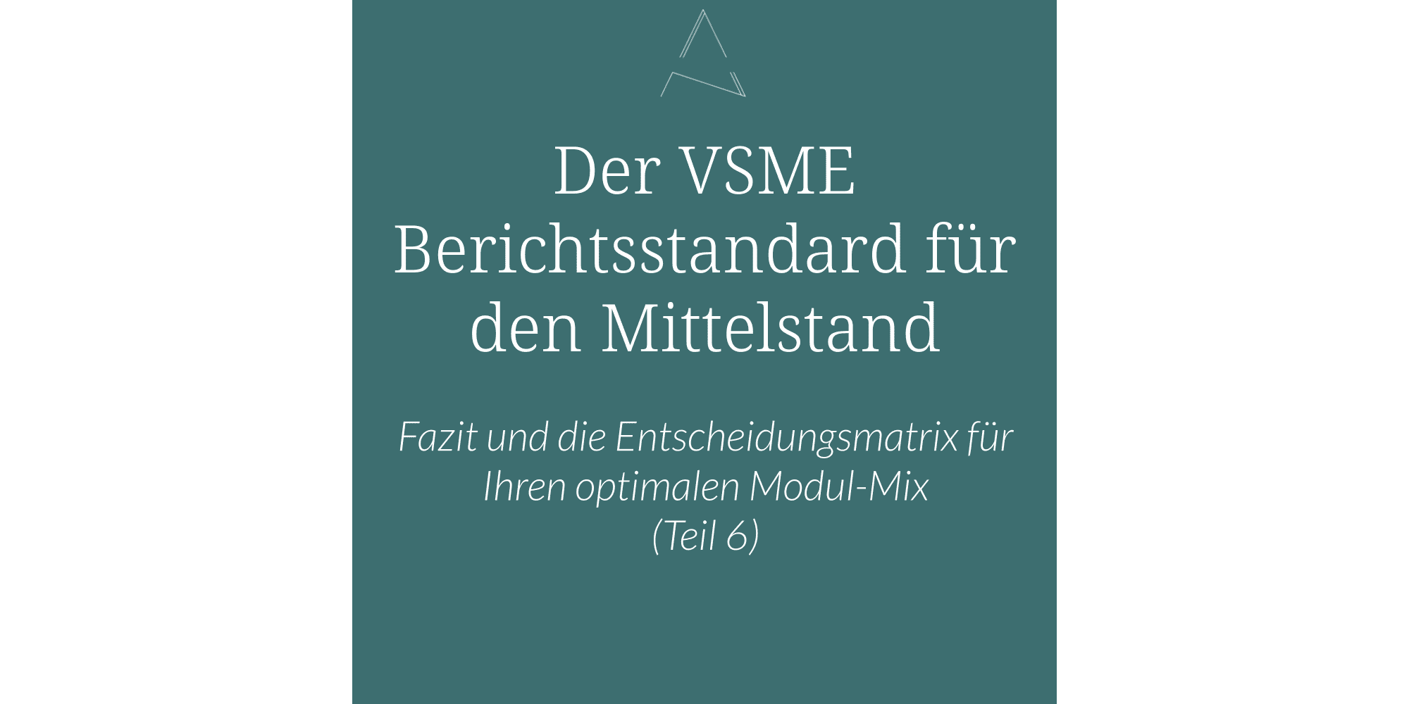 VSME Module, VSME Beratung Mittelstand, VSME Entscheidungsmatrix, Basic Modul VSME, Comprehensive Modul VSME