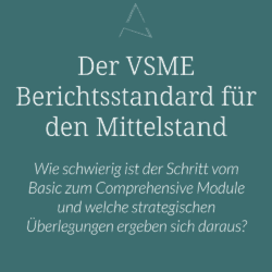 Nachhaltigkeitsberichterstattung VSME, VSME Standard Mittelstand