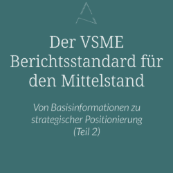 VSME Berichtsstandard für den Mittelstand, Basic Modul VSME, Comprehensive Modul VSME