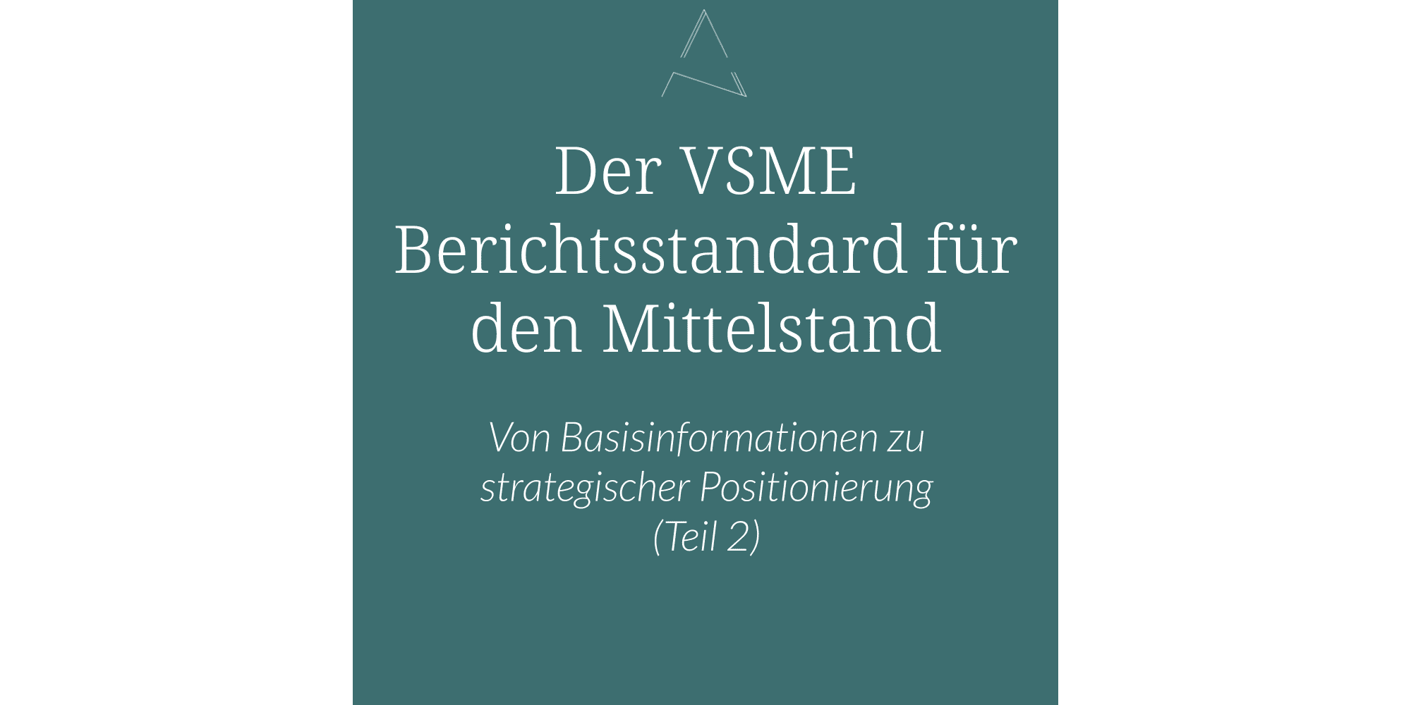 VSME Berichtsstandard für den Mittelstand, Basic Modul VSME, Comprehensive Modul VSME