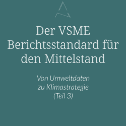 Comprehensive Modul VSME, Von Umweltdaten zu Klimastrategie