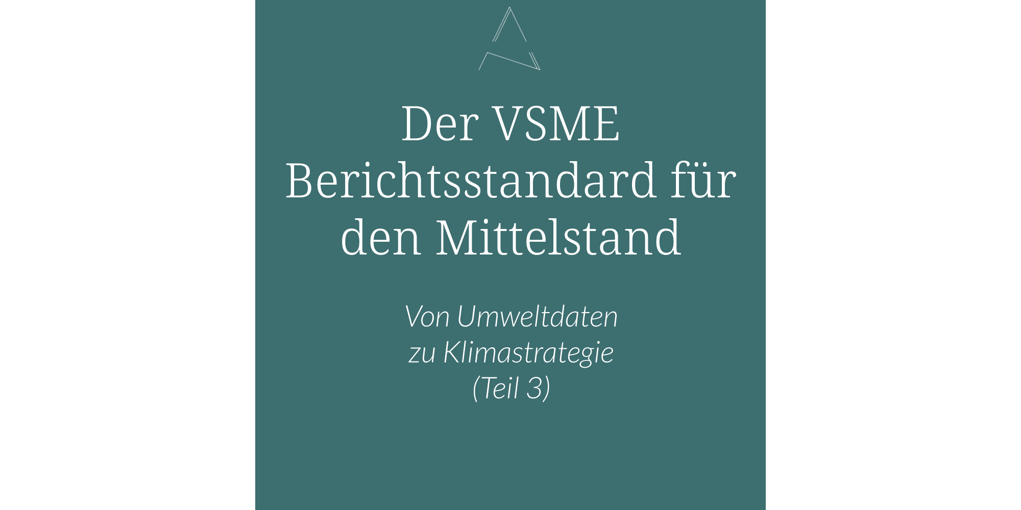 Comprehensive Modul VSME, Von Umweltdaten zu Klimastrategie